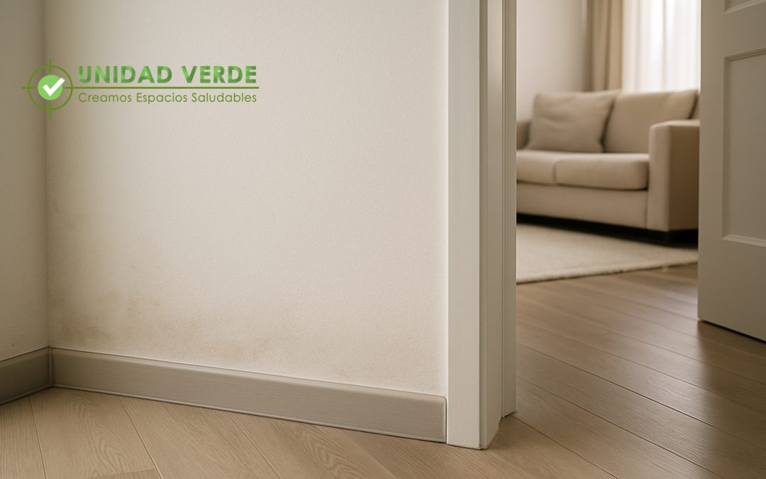 ¿Puede haber moho en casa aunque no lo veas ni lo huelas?